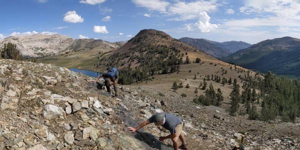 Phil Skemer (foreground) scouting field locations in the Eastern Sierra Nevada for a new REU program. The team is at a pass above Gaylor Lakes, just inside the Eastern boundary of Yosemite National Park, looking at an ultramylonite. (Photo: Lars Hansen)