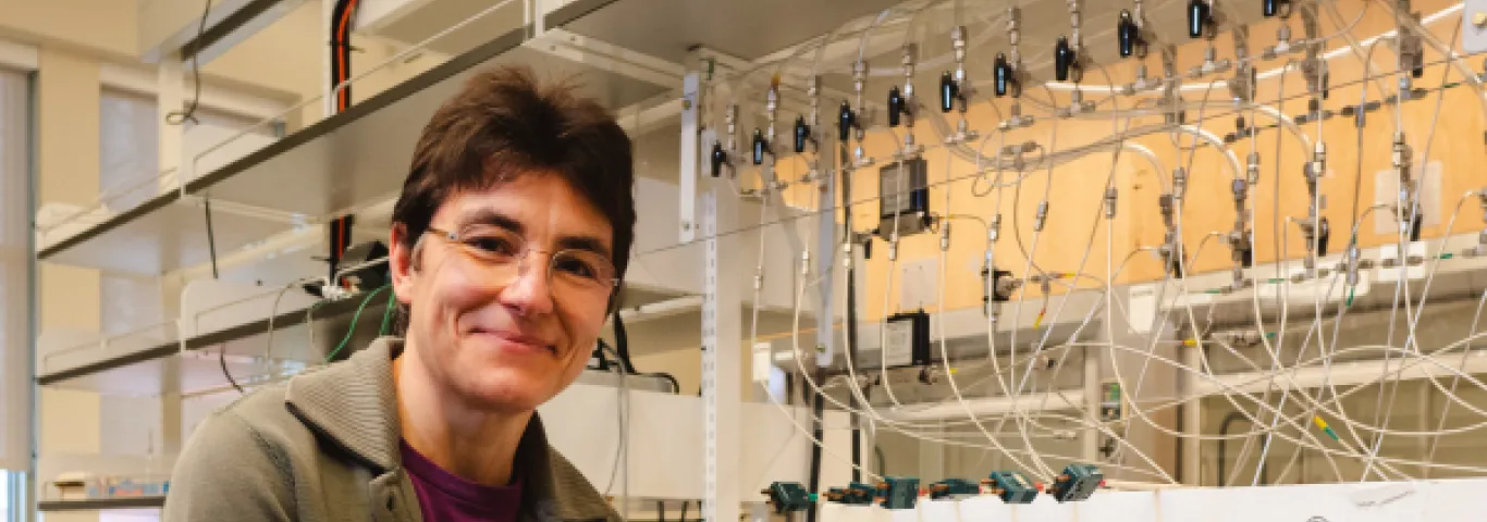 Astrid Holzheid joins Washington University as Clark Way Harrison Visiting Professor