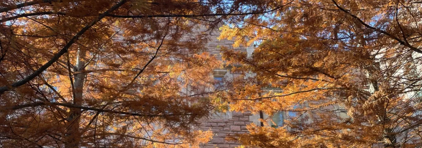 Fall 2023 Student Awards