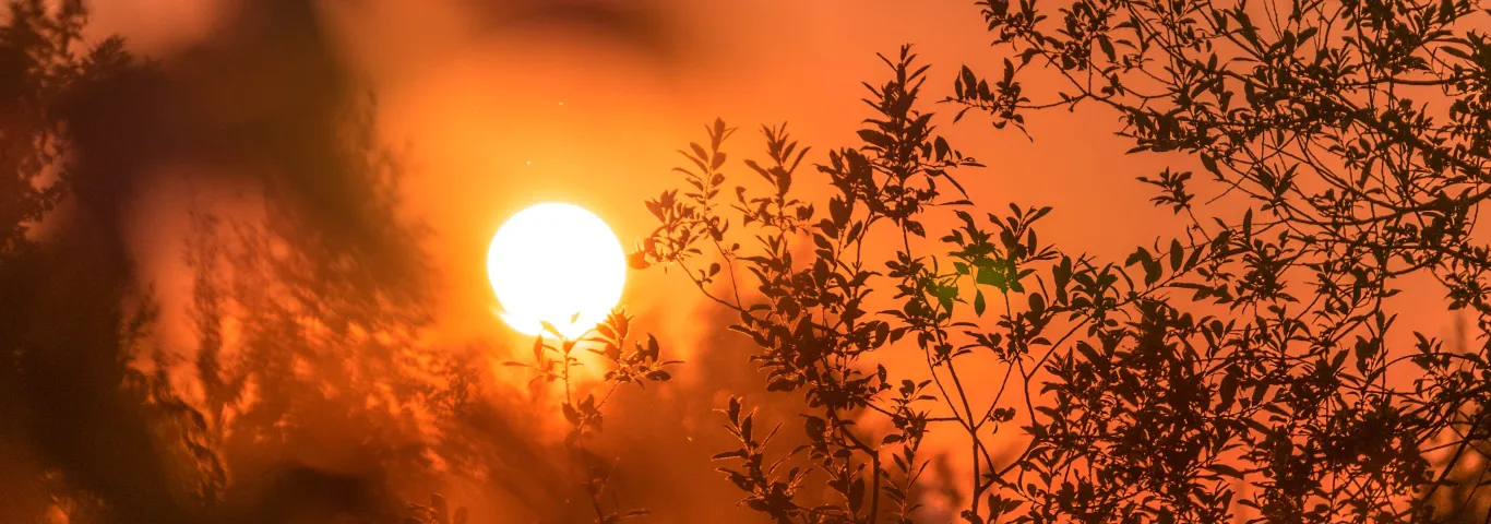 4 factors driving 2023’s extreme heat and climate disasters