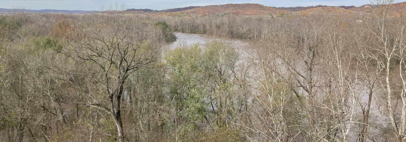 A high-tech way to track an age-old problem