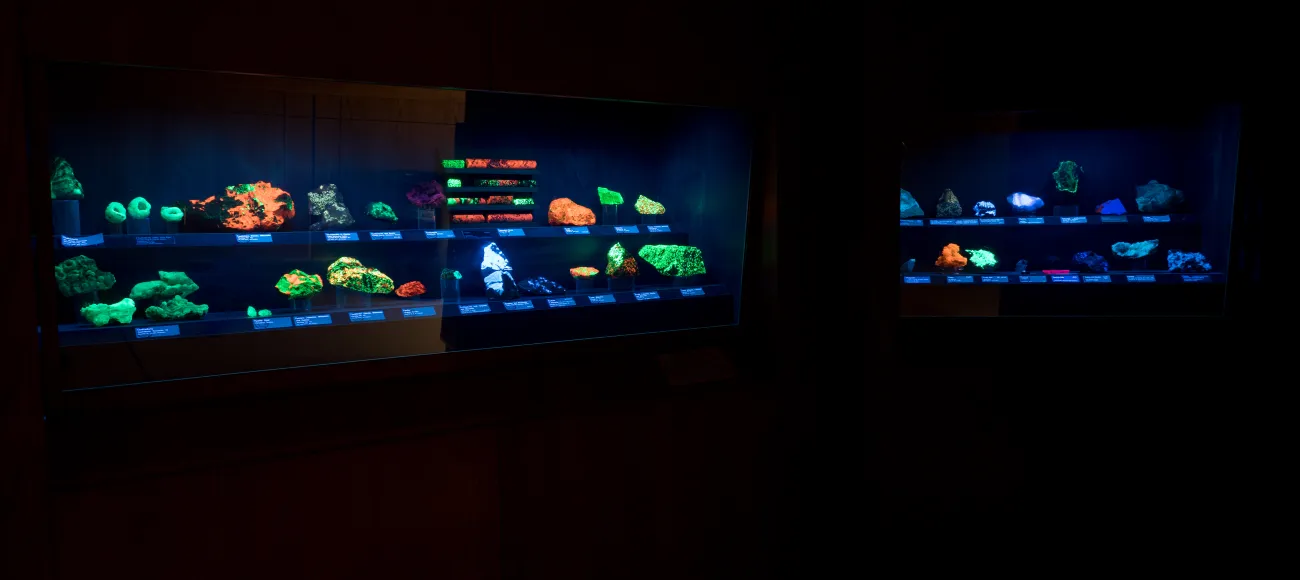 view of museum rocks