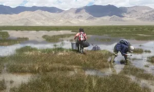 People in flooded field