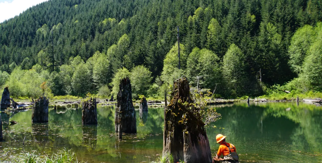 Photo of a landscape with trees, lake, and a scientist taking measurements