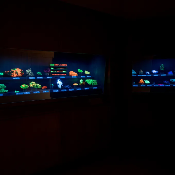 view of museum rocks