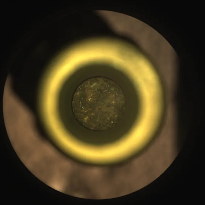 The Perseverance rover's first intact rock core was visible inside its sample tube, just before the tube was sealed on 6 September. Credit: NASA and JPL-Caltech