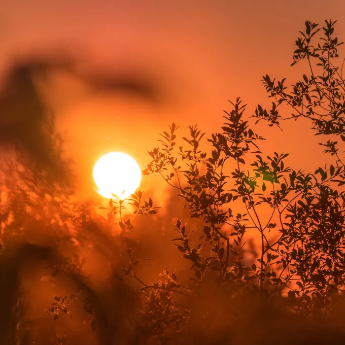 Sunset photo. Photo by Ant Rozetsky on Unsplash