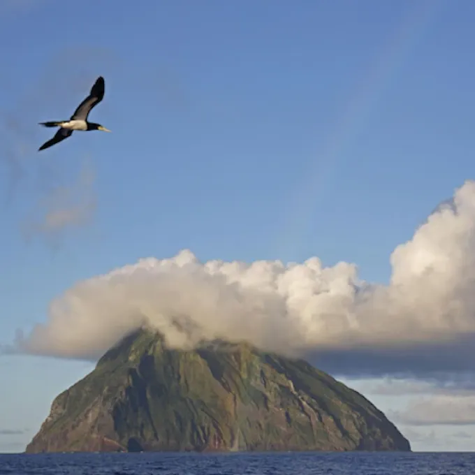 The earthquake, which was part of a series of deep aftershocks, struck hundreds of miles beneath Japan's Bonin Islands, shown here. Photo by FLPA, Alamy Stock Photo