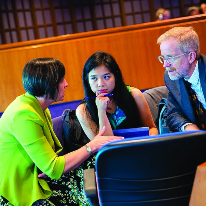 Akerman at the United Nations